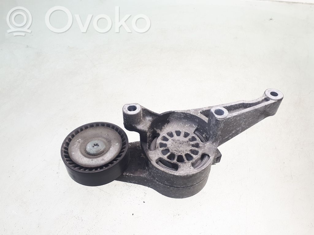 Skoda Octavia Mk2 (1Z) Tendicinghia generatore/alternatore