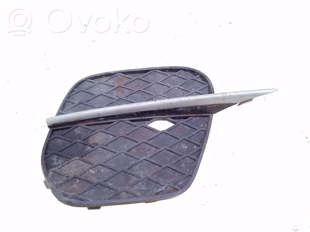 BMW X5 E70 Front bumper lower grill 