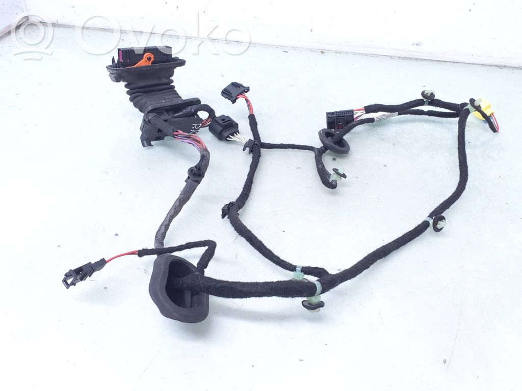 Volkswagen PASSAT B6 Cableado de puerta delantera 