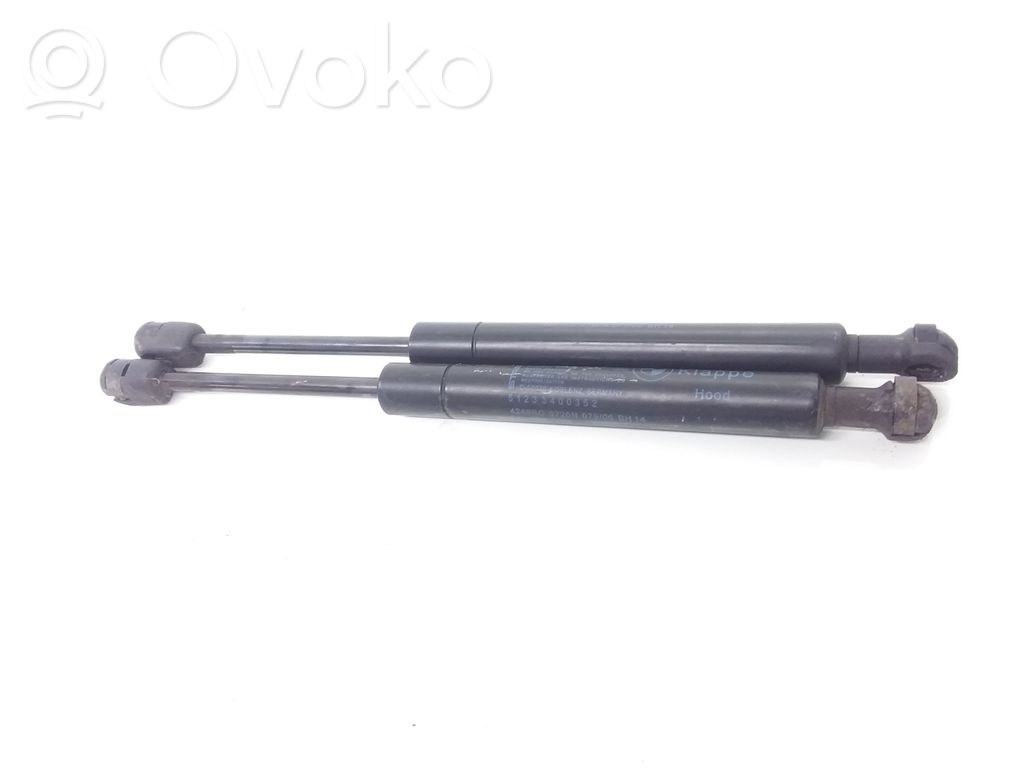 BMW X3 E83 Ammortizzatore portellone anteriore/cofano