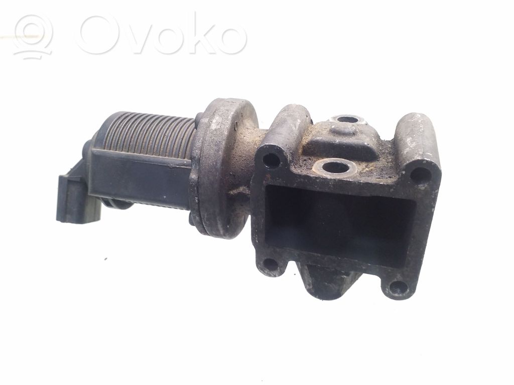 Válvula EGR   55215031