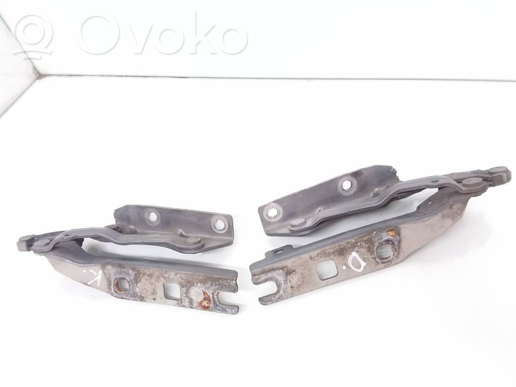 Volkswagen Golf VI Cerniere del vano motore/cofano 