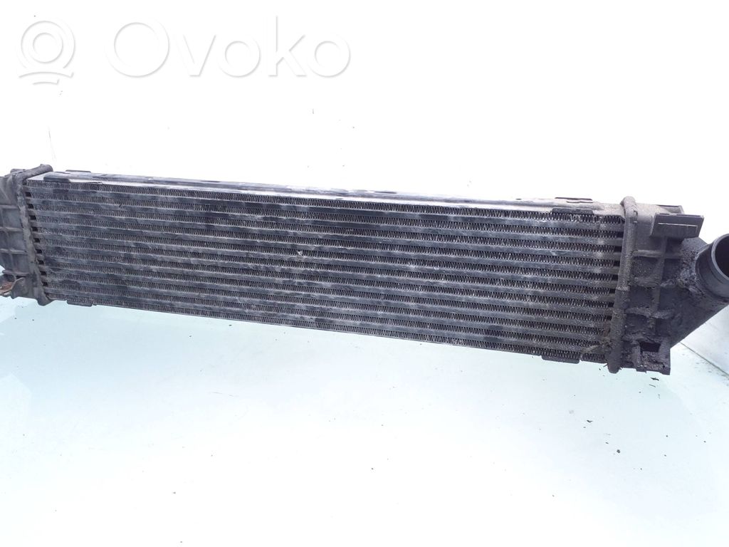 Interkūlerio radiatorius   880290E