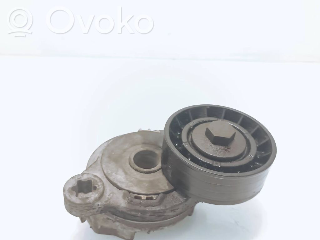 Volvo S80 Napinacz paska alternatora 