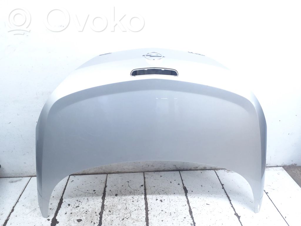Tailgate/trunk/boot lid