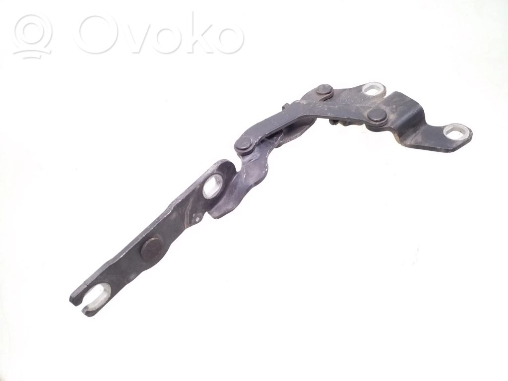Cerniere del vano motore/cofano   7060560
