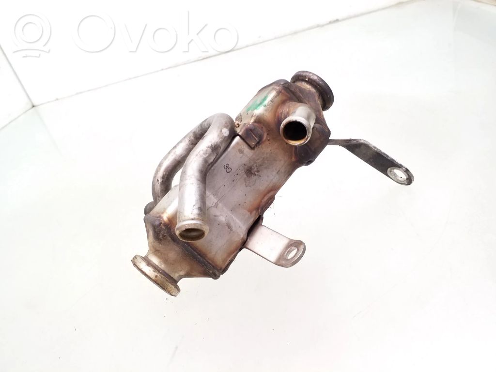 Land Rover Freelander Valvola di raffreddamento EGR 