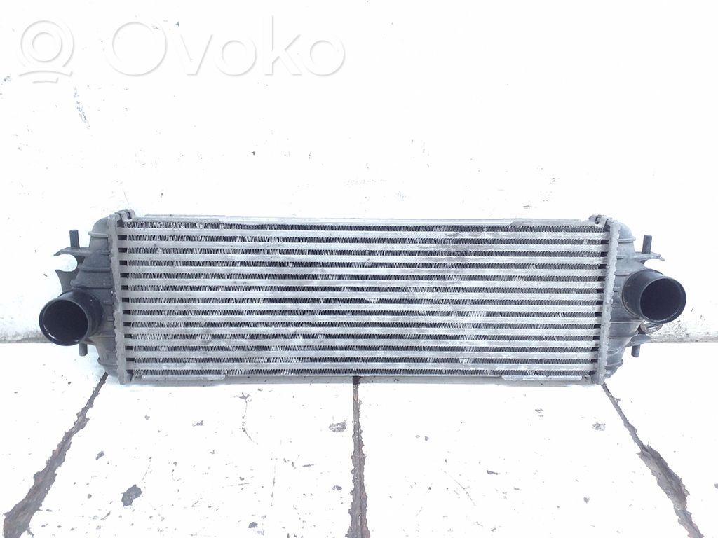 Interkūlerio radiatorius   91166035