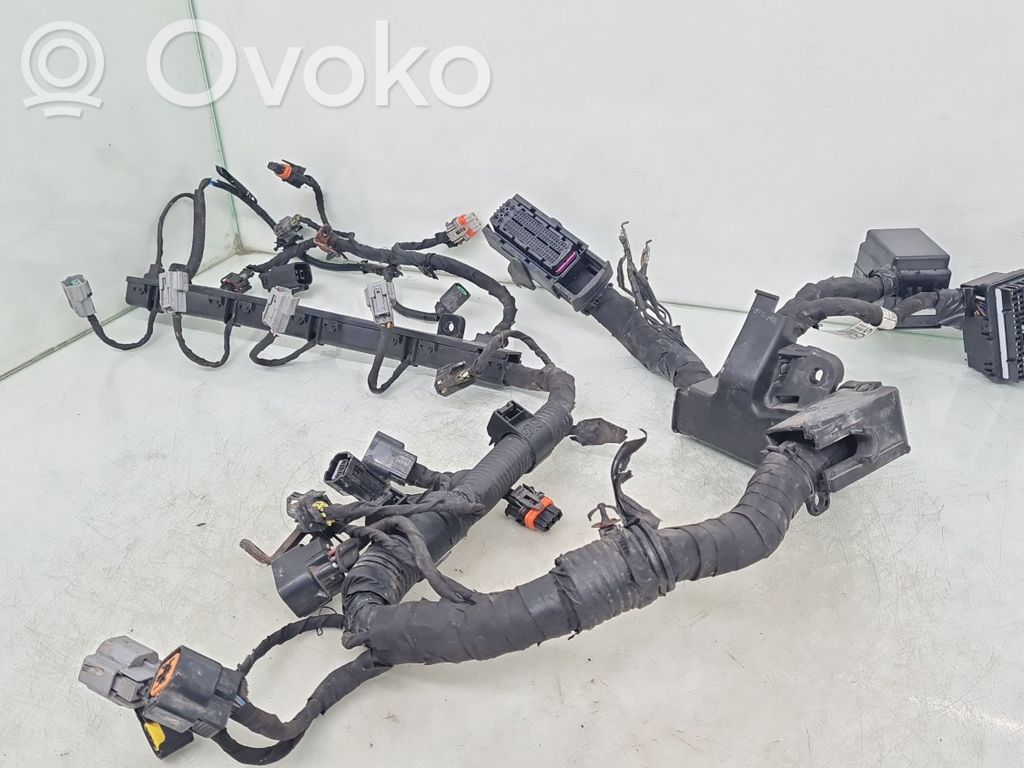 KIA Ceed Dzinēja vadu instalācija 