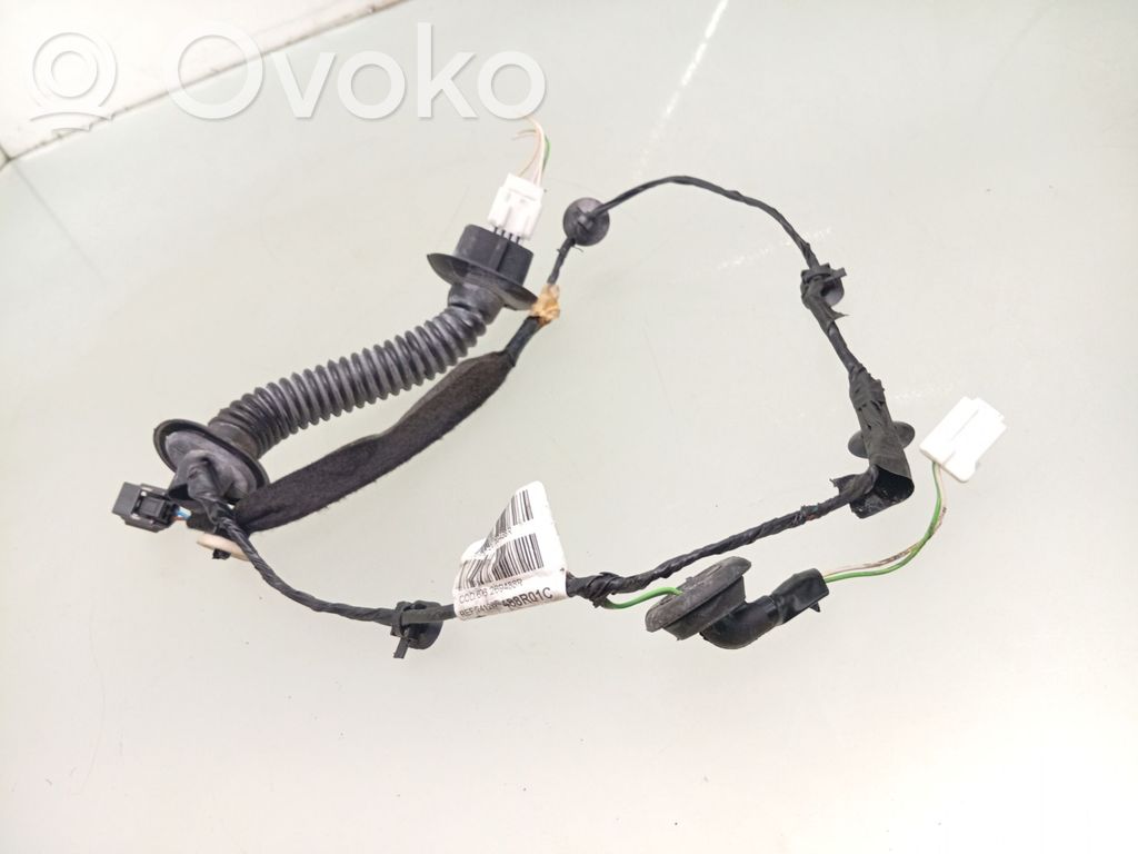 Dacia Sandero II Cableado de puerta trasera 