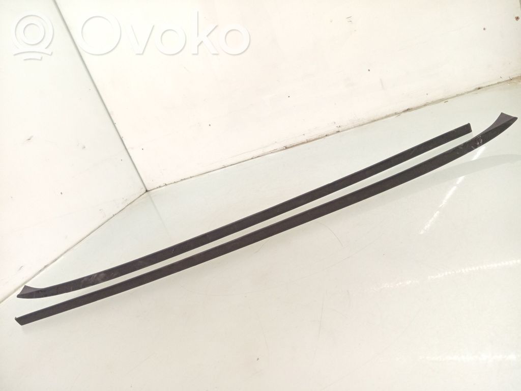 Volkswagen PASSAT B7 Rivestimento parabrezza