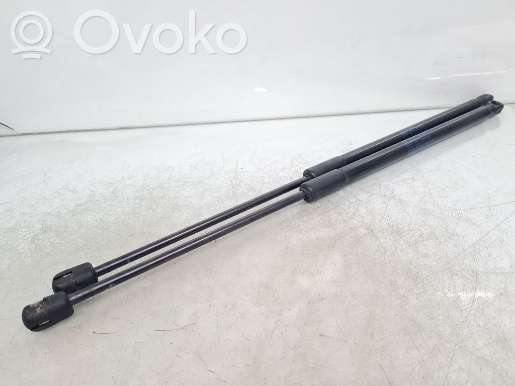 Takaluukun tuen kaasujousi   7127875,2763040470N