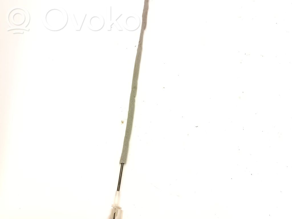 Línea de cable puerta delantera   8221519119702