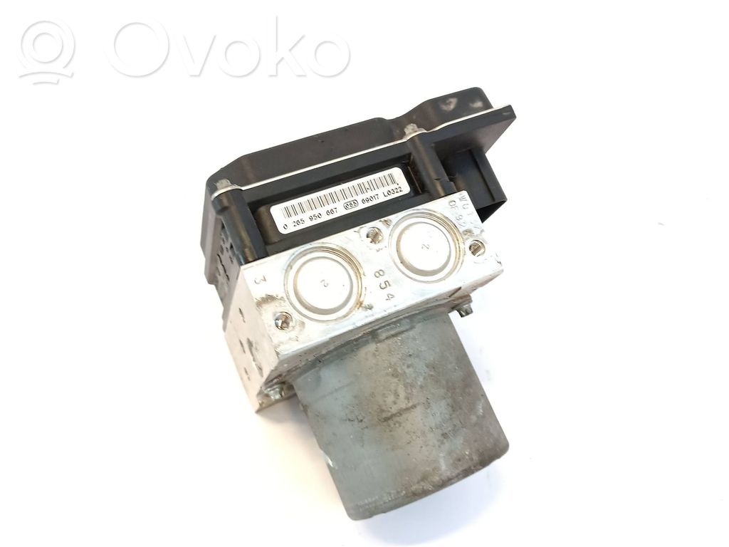 BMW 5 E60 E61 ABS Blokas 