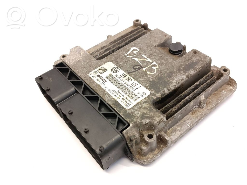 Skoda Octavia Mk2 (1Z) Engine control unit/module 