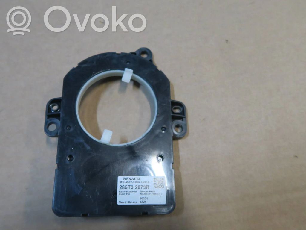 Renault Zoe Vairo padėties (kampo) daviklis 