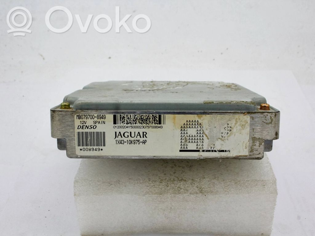 Jaguar X-Type Engine control unit/module 
