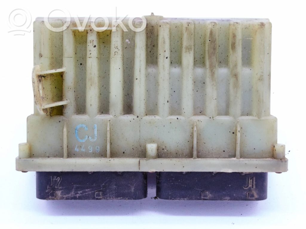 Engine control unit/module   24410130