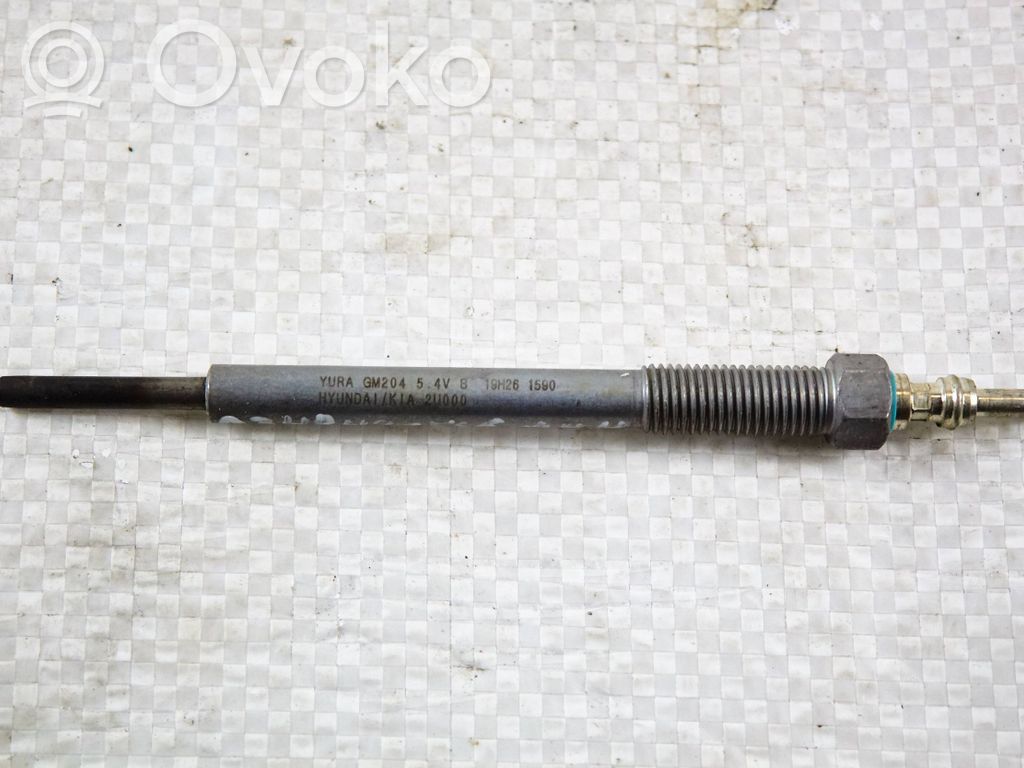 KIA Ceed Glow plug 