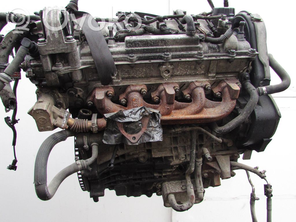 Motor   6900665,D5244T