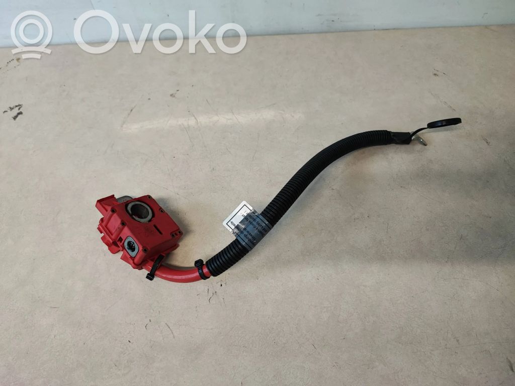 Plusa vads (akumulatora)   9203570