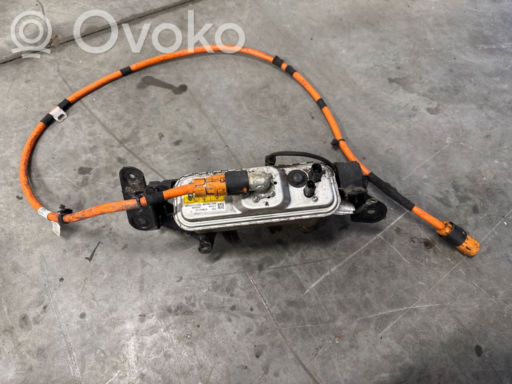 BMW X5 F15 Elektrinė variklio pašildymo sistema (papildoma) 
