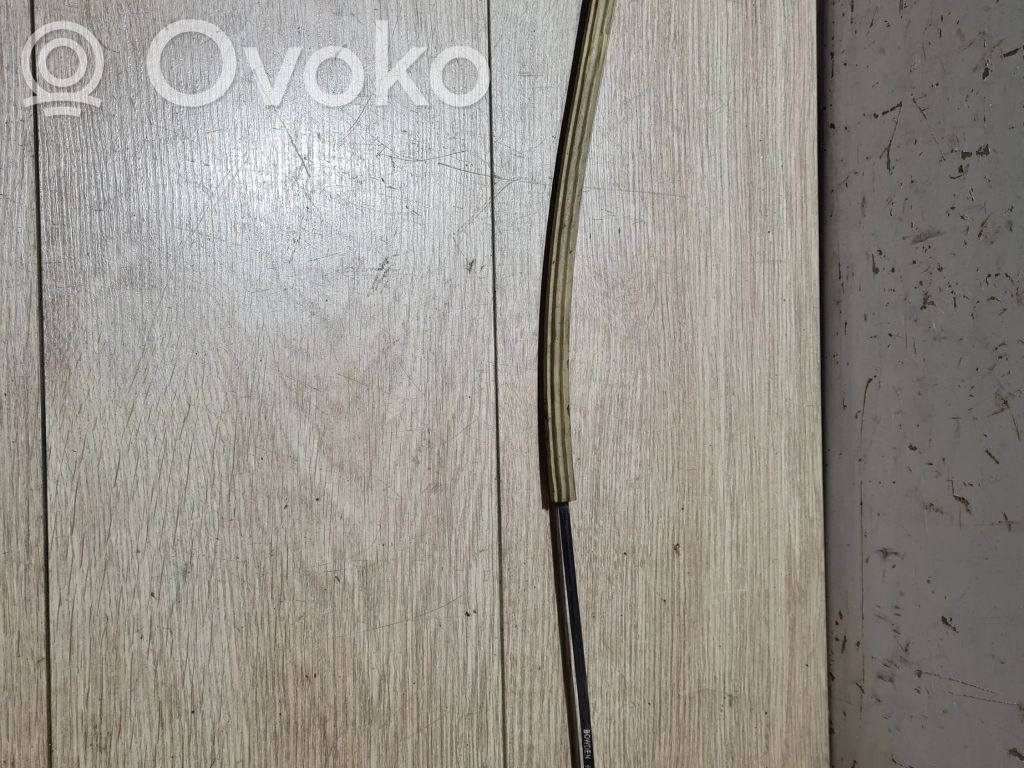Trosīte   9485043