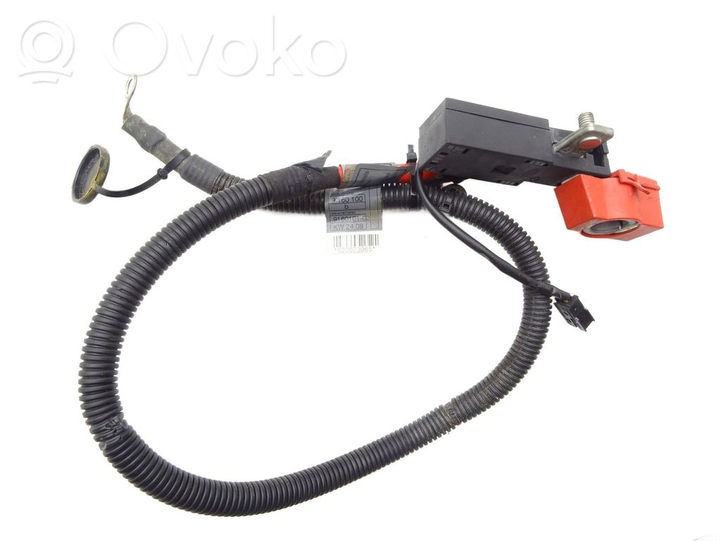 Front door wiring loom   9160100,916010102,91601101
