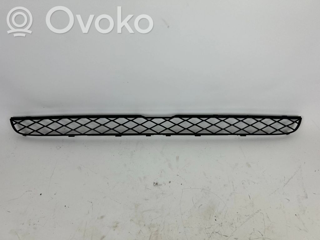 BMW X6 E71 Front bumper lower grill 