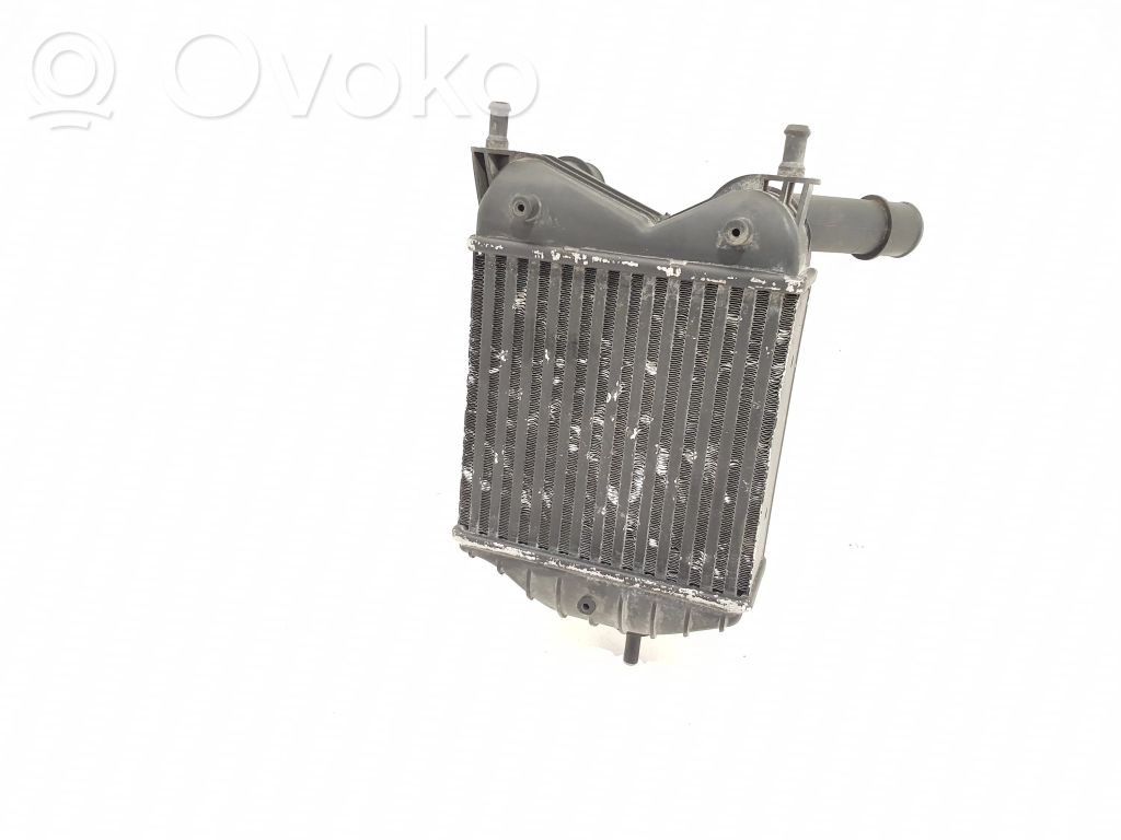 Fiat Punto (188) Intercooler radiator 