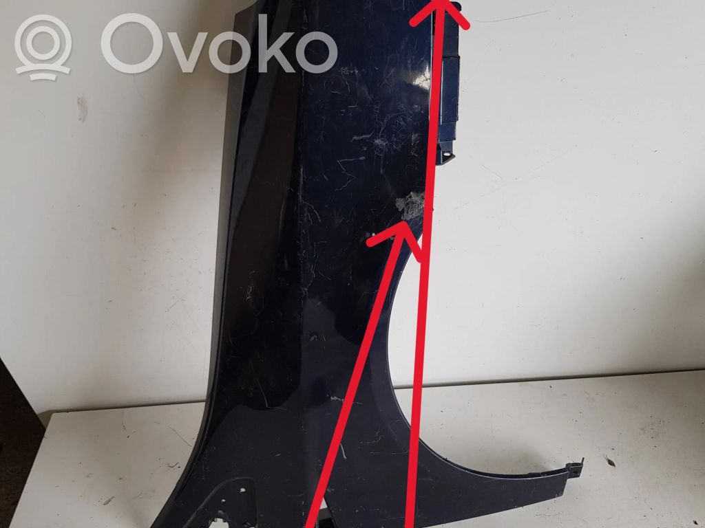 Renault Vel Satis Sparnas 