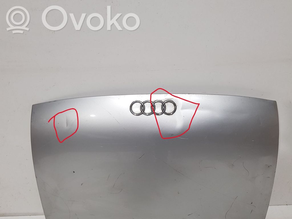 Audi TT Mk1 Puerta del maletero/compartimento de carga 