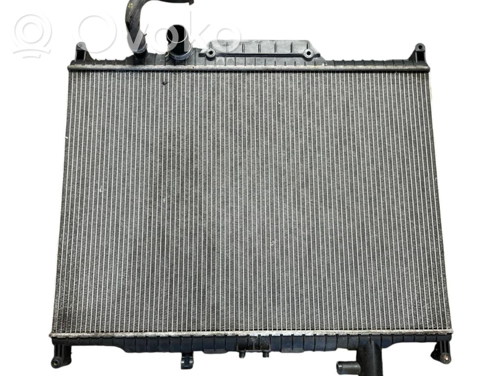 Land Rover Range Rover Sport L320 Aušinimo skysčio radiatorius 
