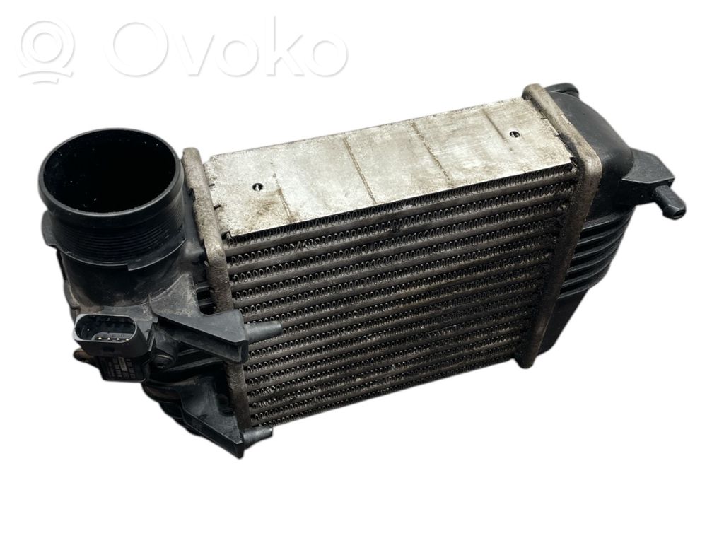 Audi A6 S6 C6 4F Interkūlerio radiatorius 