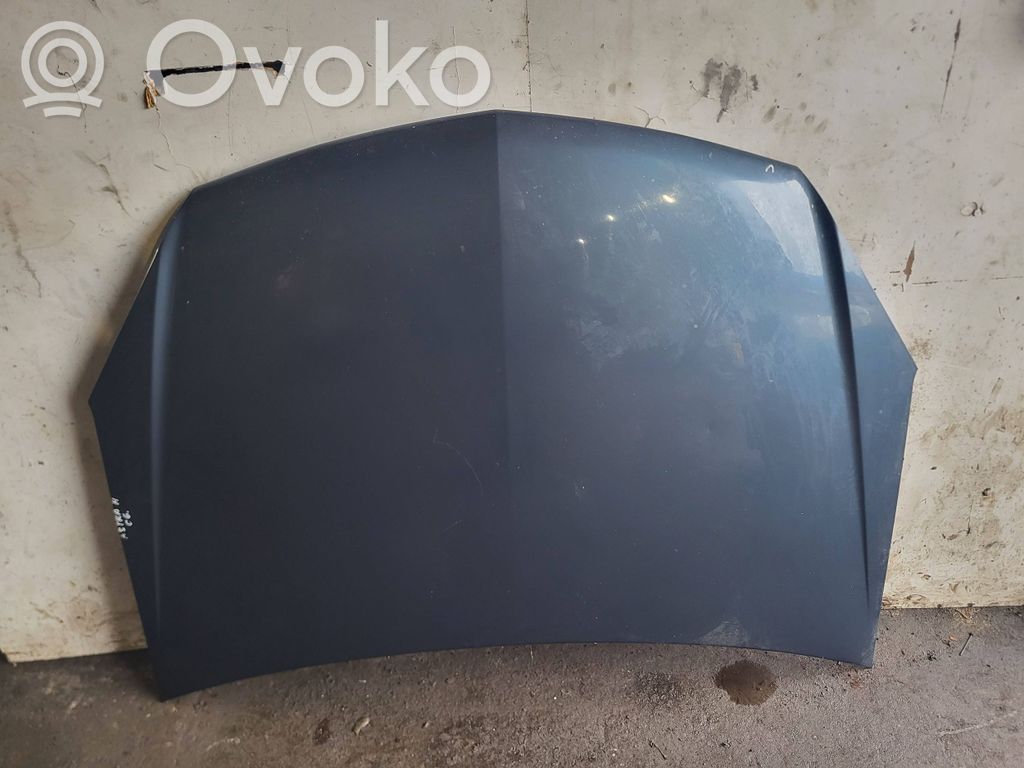 Engine bonnet/hood