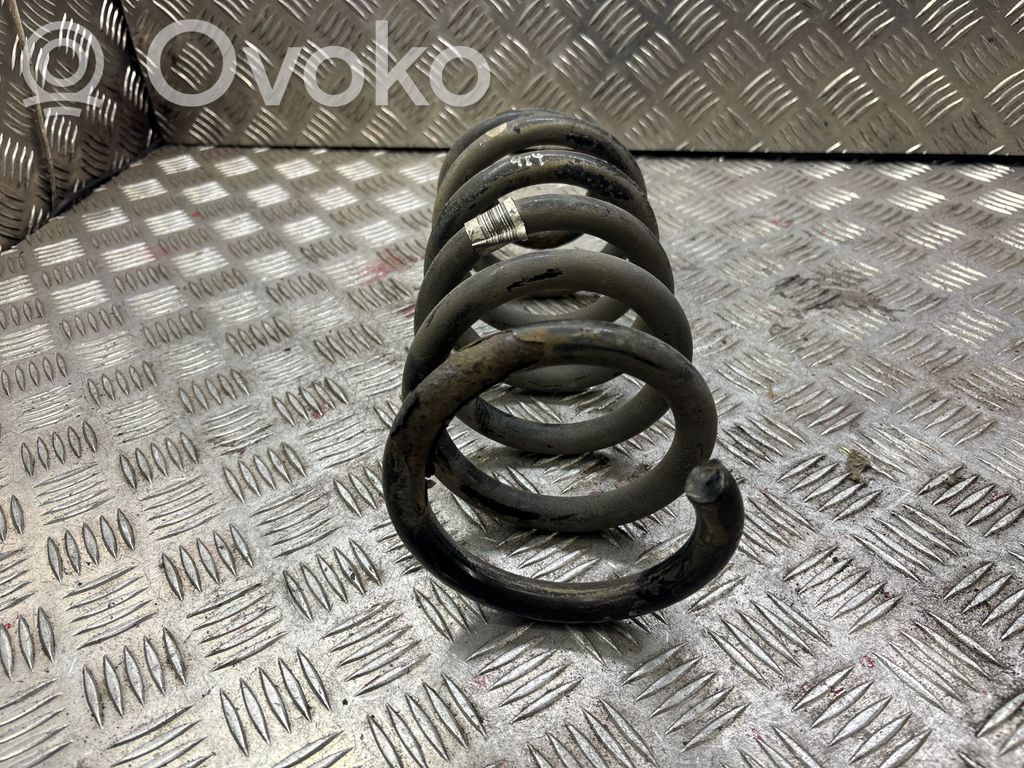 Rear coil spring