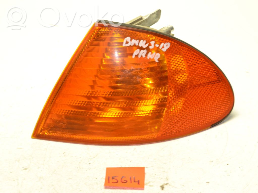 BMW 3 E46 Front indicator light 