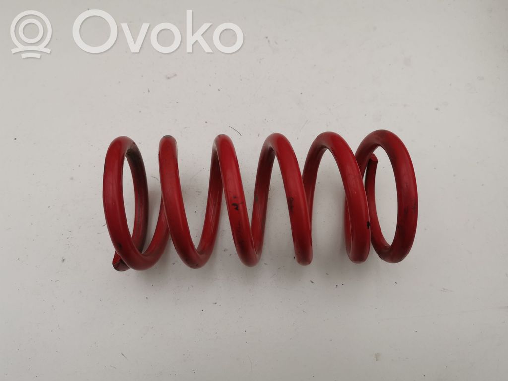 Rear coil spring