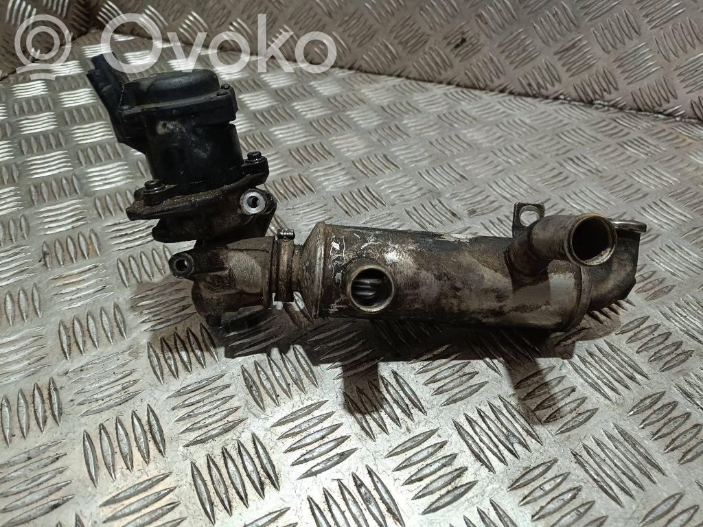 Citroen C5 Válvula EGR 