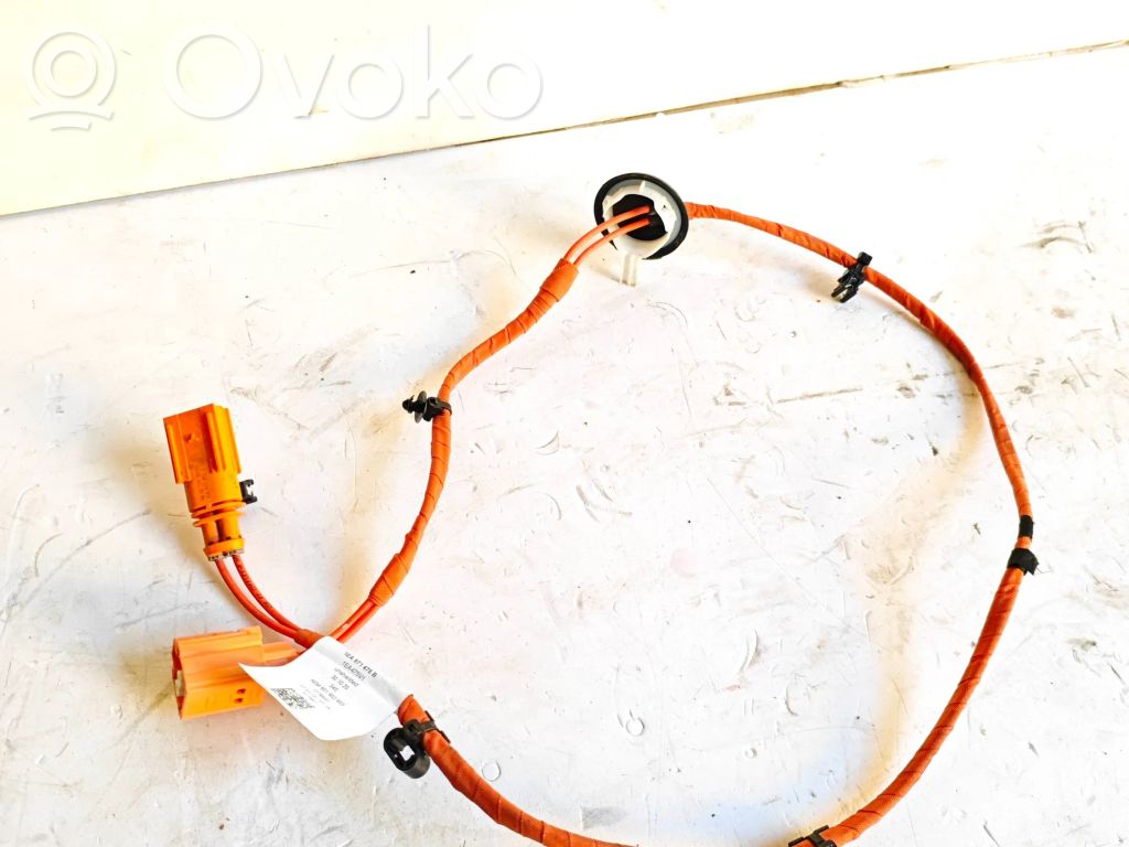 Cupra Born Mazo de cables 