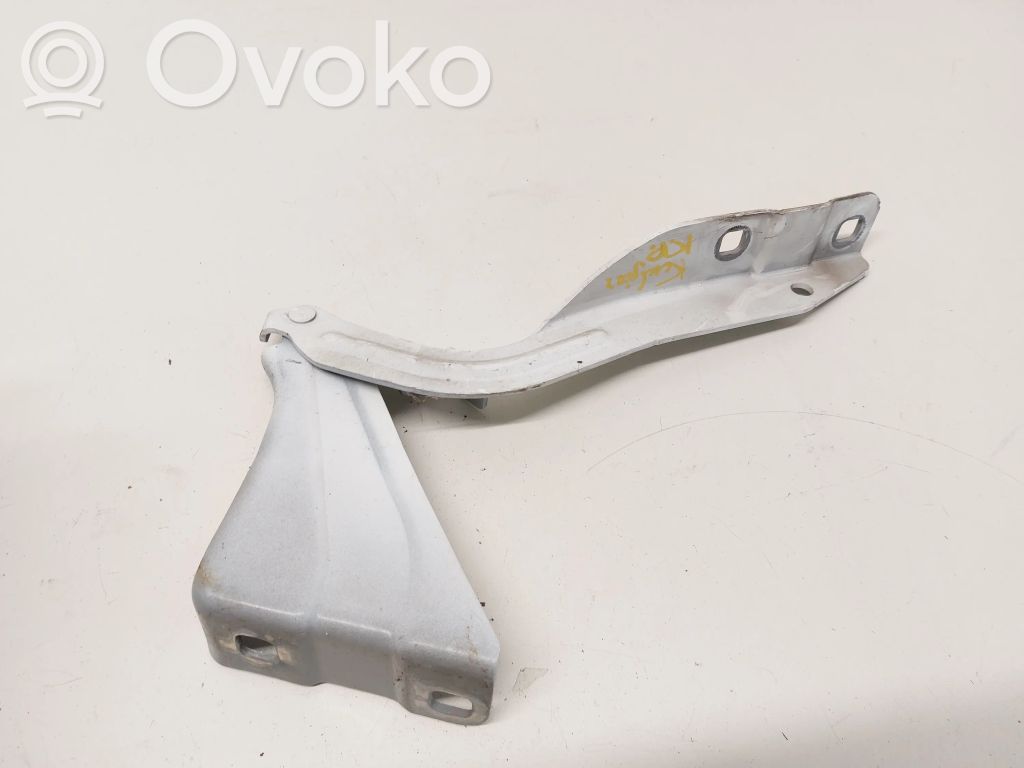 Engine bonnet/hood hinges