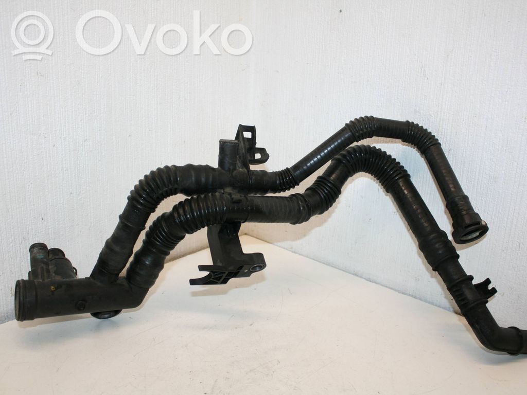 Engine coolant pipe/hose   011252B