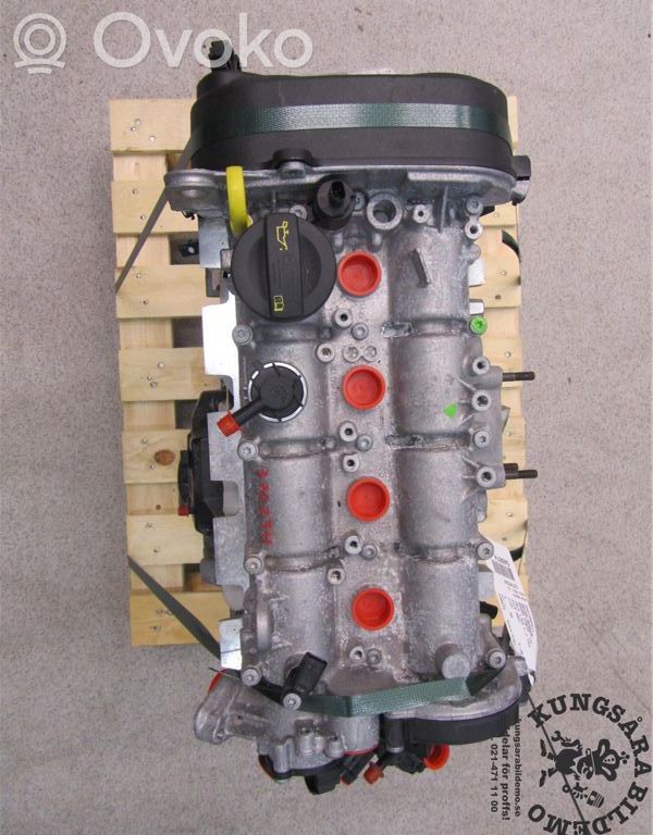 Skoda Fabia Mk3 (NJ) Motor 