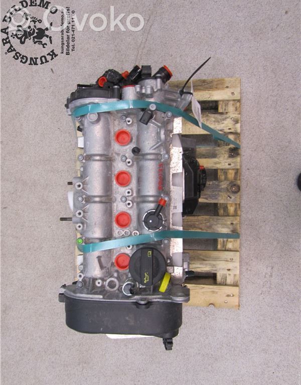 Variklis   04E100033R,CZCA