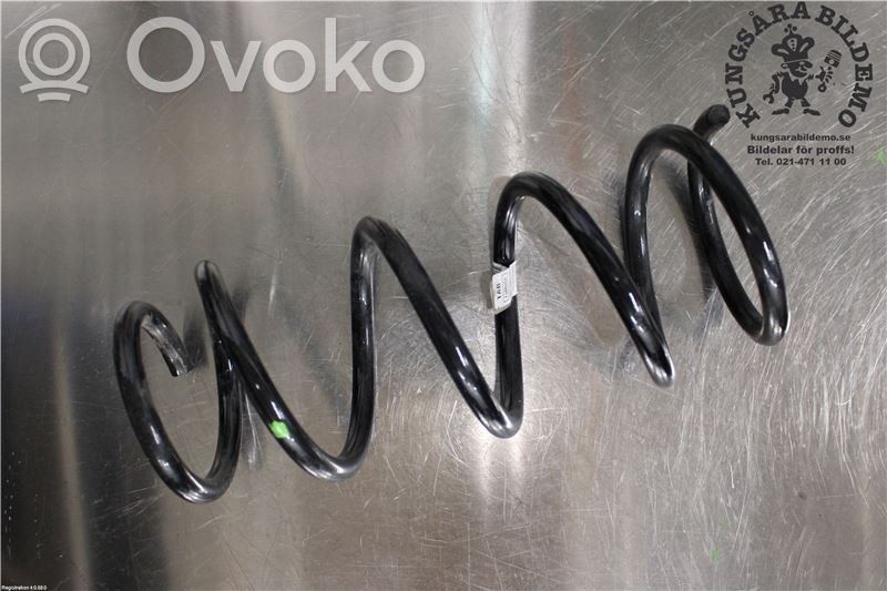 Ford Focus Rear coil spring 