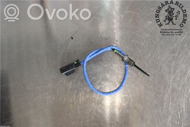 Ford Focus Išmetamųjų dujų temperatūros daviklis 