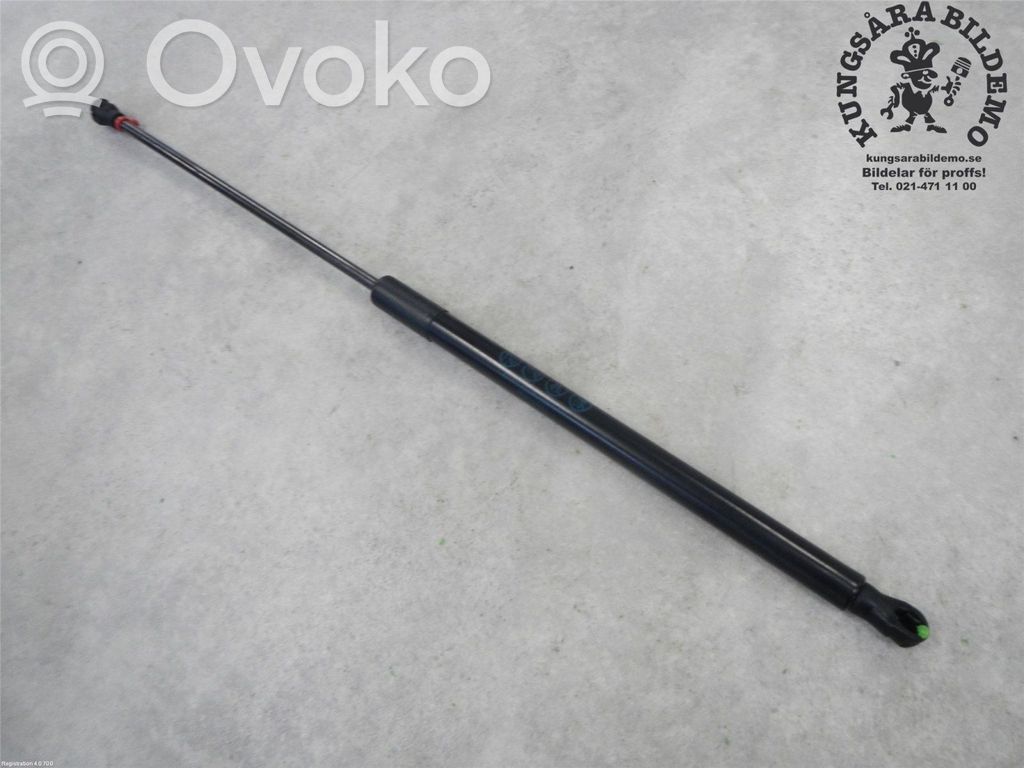 Tailgate strut   6896002210