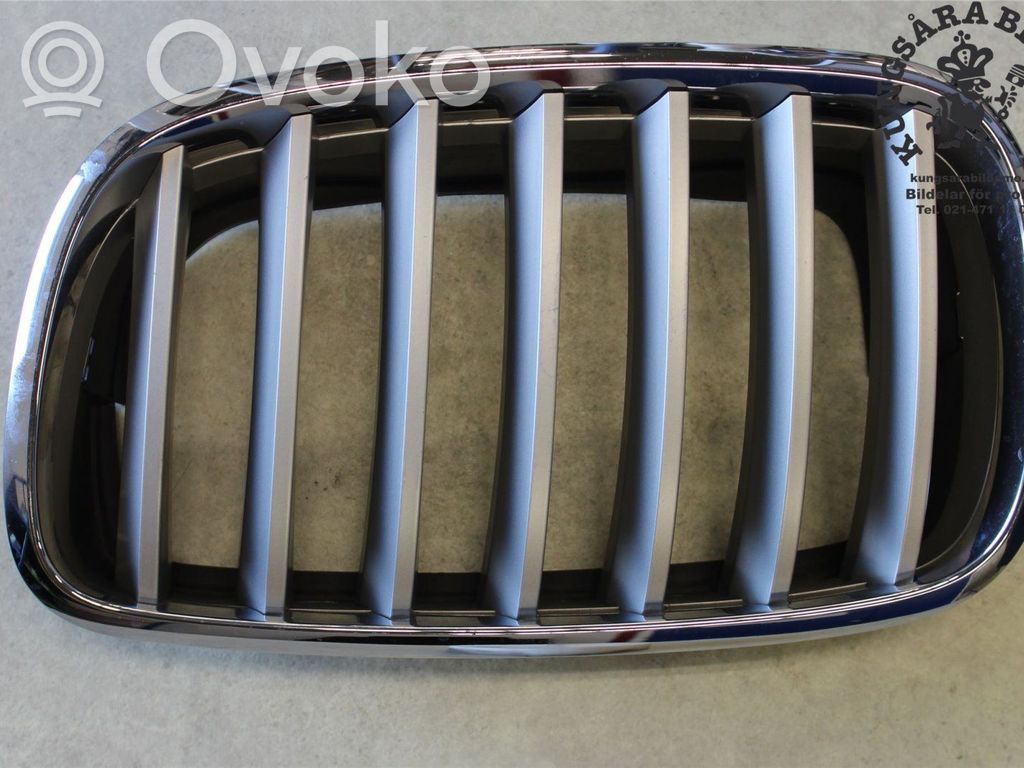 BMW X5 E70 Front bumper lower grill 