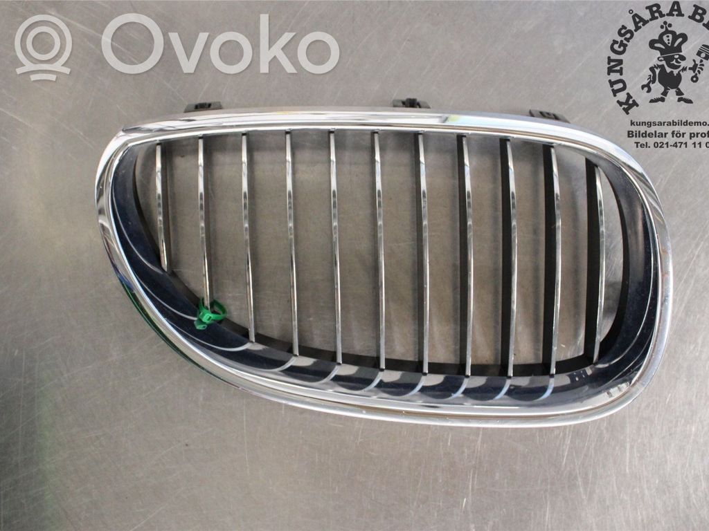 BMW 5 E60 E61 Front bumper lower grill 
