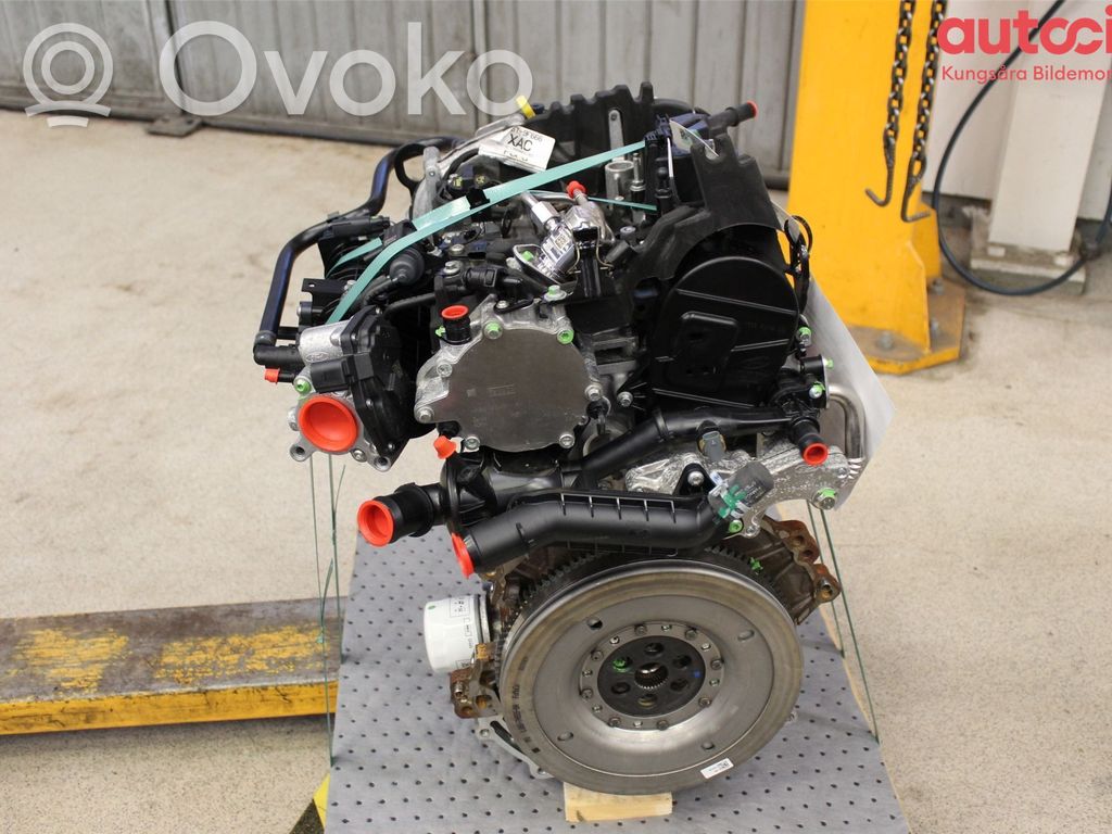 Ford Puma Variklis 